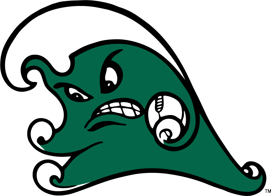 Tulane Green Wave 2016-2017 Secondary Logo v2 iron on transfers for T-shirts